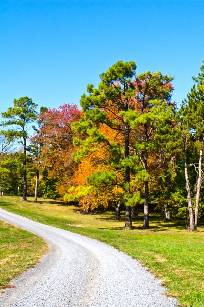 Gravel Drive Building